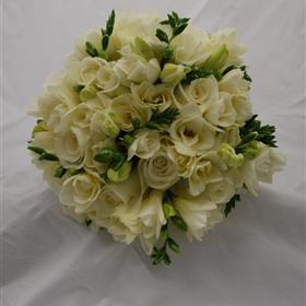 fwthumb1 (12).jpg